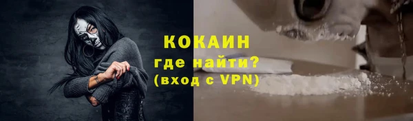 шишки Волоколамск